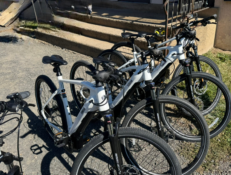 bikes